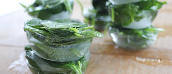 How to Preserve Fresh Spinach